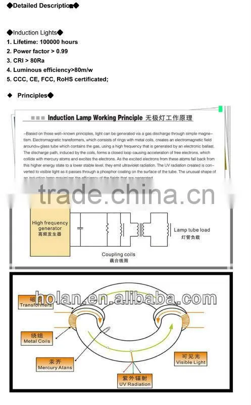 60 Watt magnetic induction energy-saving flood light
