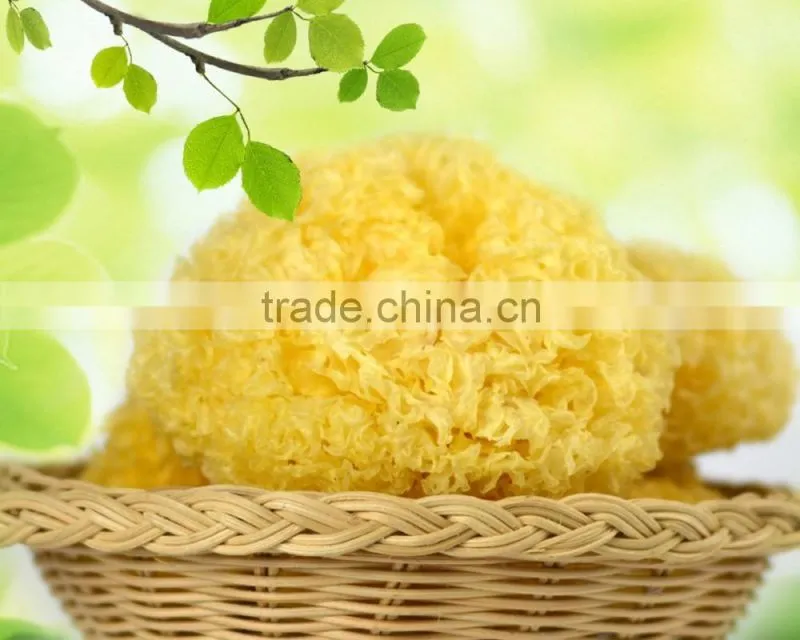 Low Price Tremella Chinese White Fungus