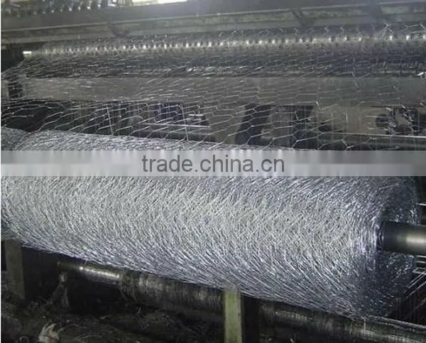 hot sale prime hexagonal wire mesh/ chicken wire mesh with low price