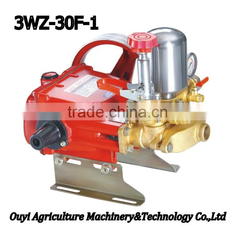 Zhejiang Taizhou Agriculture Usage Knapsack Power Sprayer Price 3WZ30F1 Spare Parts