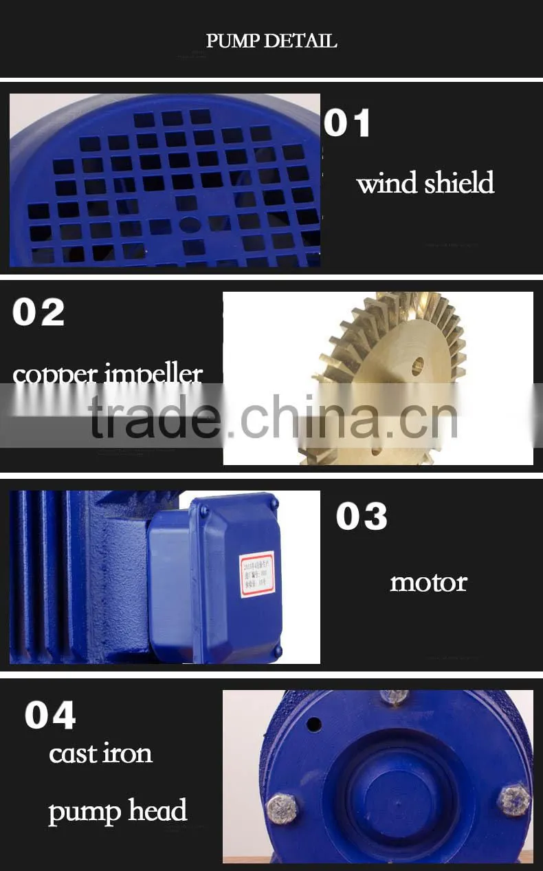 W2.5-105 SINGAL-STAGE CAST IRON ELECTRIC VORTEX WATER PUMP