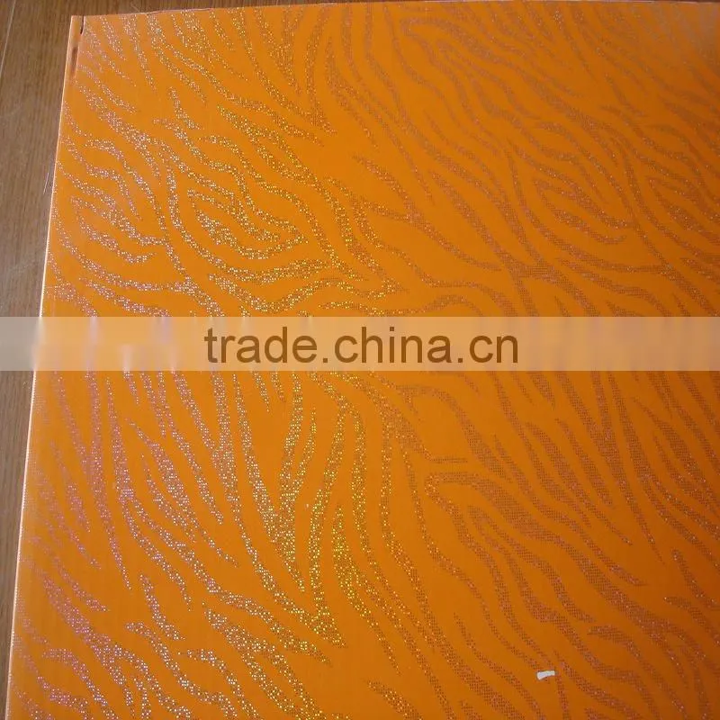 Plastic panels for walls