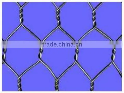 Anping Galvanized Chicken Mesh(Hot-dipped/Electro Galvanized)