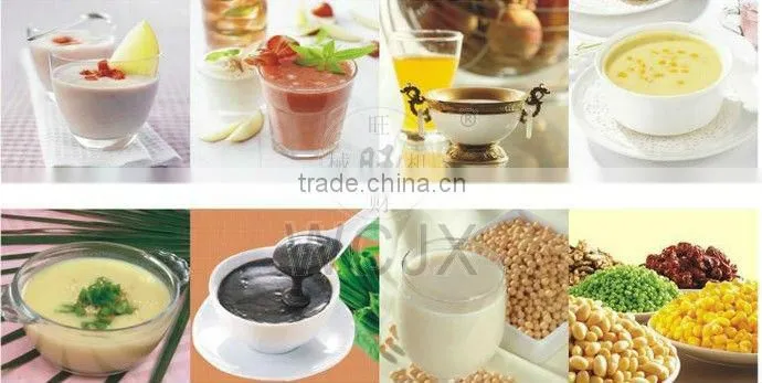 12 in multi-functional food processing machine