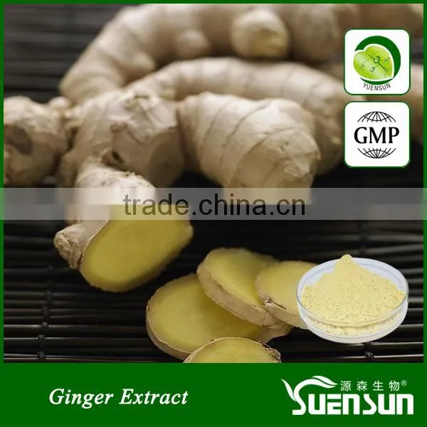 NSF-GMP Certificated Free sample ginger root powder dried ginger powder price