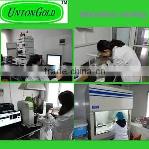 Frozen Halal Whole Chicken without head,neck,liver,feet
