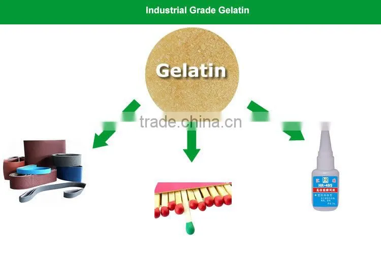 Beef Leather Gelatin/industrial gelatin/gelatin powder