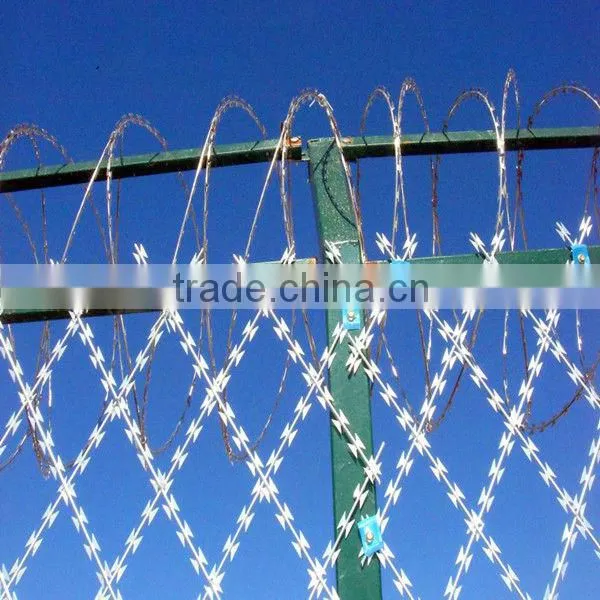 cheap weight galvanized razor barbed wire