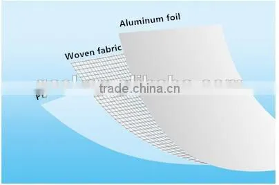 Woven Dry Cold Bulk Thermal Insulation Container Liner