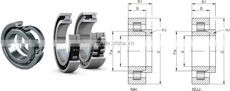 High strength double row short cylindrical roller bearing NN3009