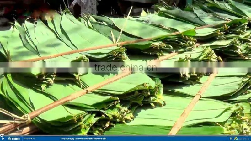 Bamboo leaves