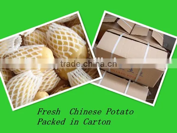 fresh preserved potato