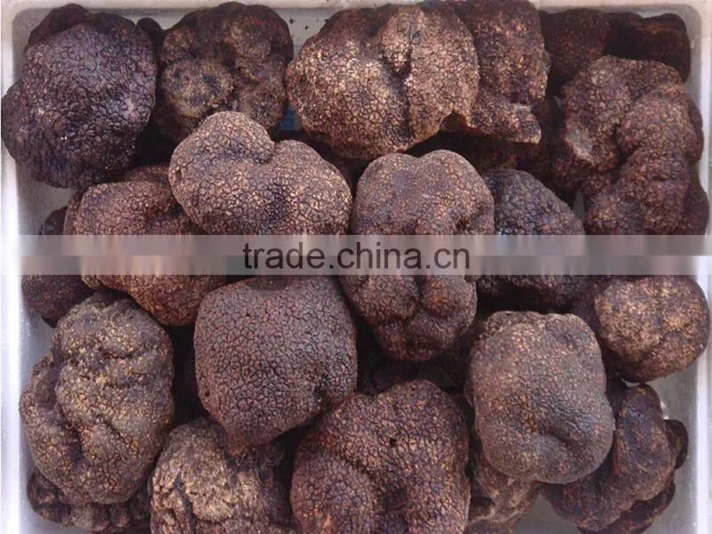 Chinese Black Truffle price