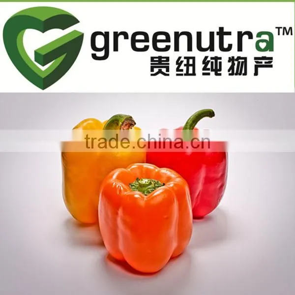 Pure Capsaicin Powder