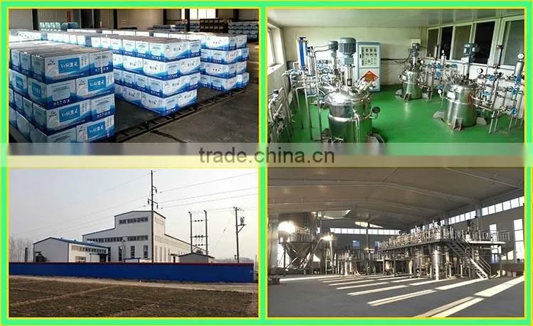 ZYM-F17 trepang feed fermentation bacteria