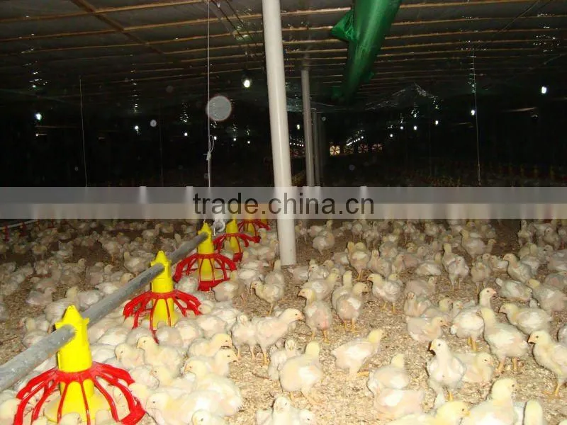 Height Adjustable Automatic Auger Broiler Pan Feeding System