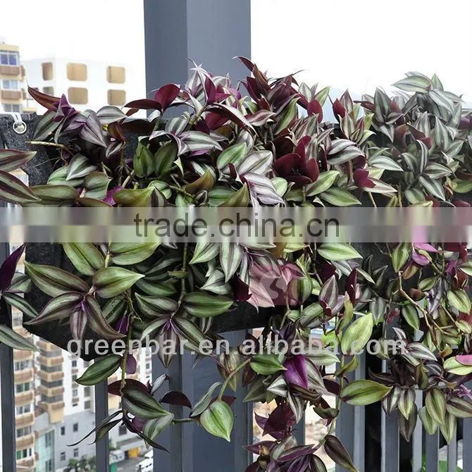 Supply indoor wall hanging planter plants on wall felt fabric planter