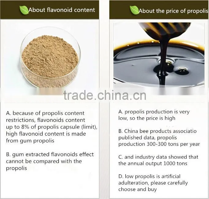 HACCP factory supply most secure propolis soft capsule with 30% propolis