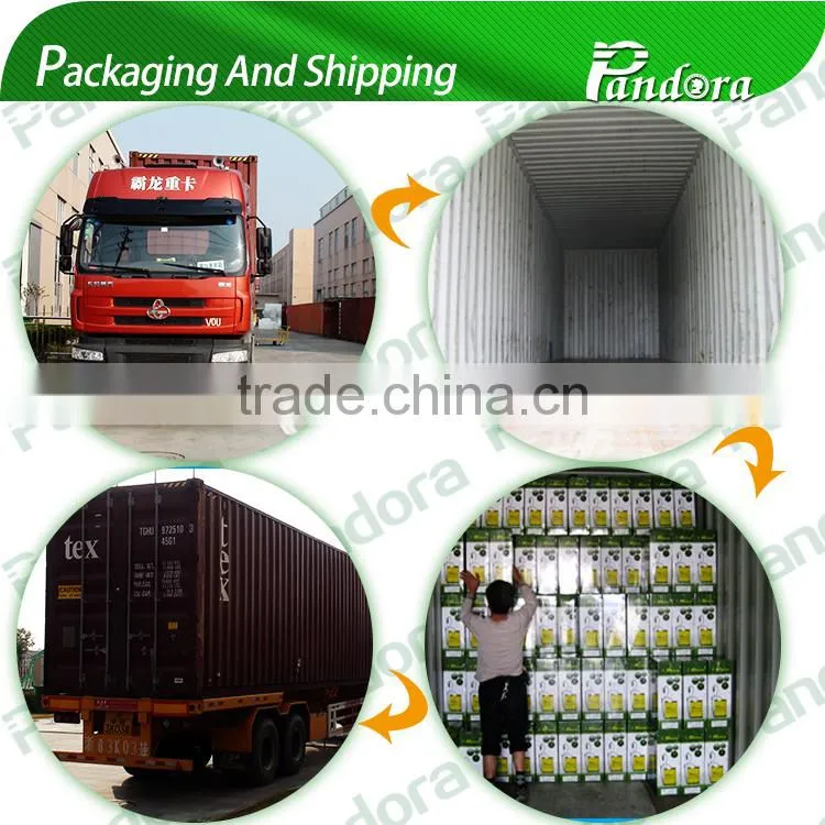 India 16L Battery Sprayer From ChunFeng Pandora Manufacture