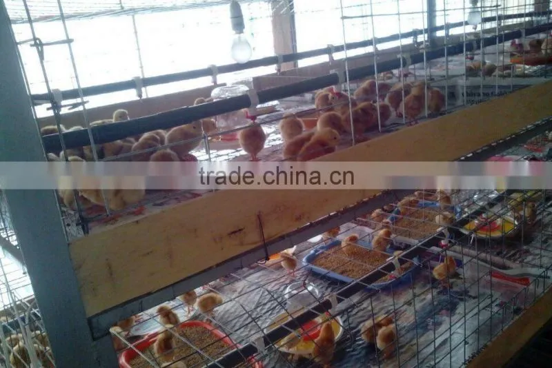 Popular Full Automatic chicken drinking nipple for Broiler HJ-DN004
