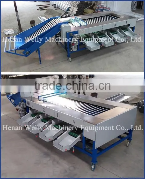Factory price advanced design apple grader/onion grading machine/potato sorting machine