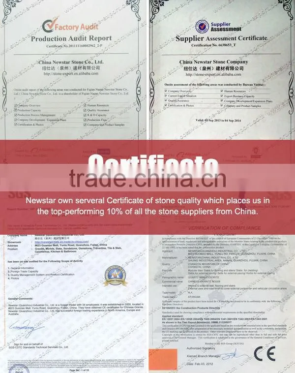 Newstar Cheap Guangxi White With Black Grey Veins China Marble Tile