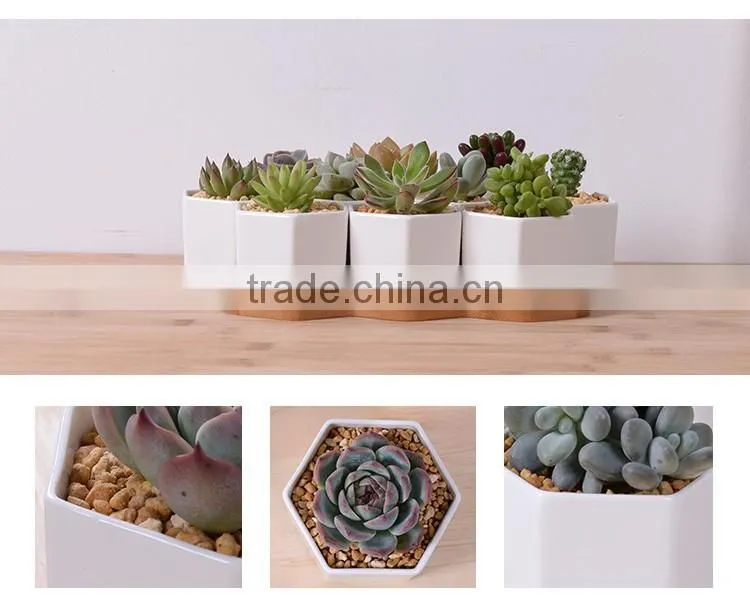 Zakka combination potted six sides indoor glazed pottery planters with bamboo tray