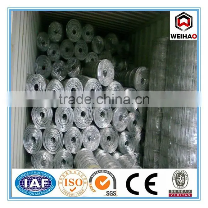 High Quality Galvanized Calf Cattle Fence