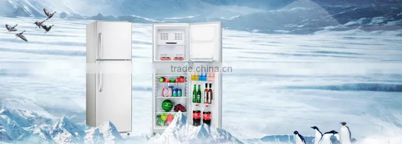 fruit storage gas refrigerator and freezer with solar energy