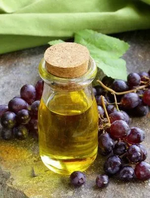Hydraulic Oil Vegetable Oil Edible Oil Pressing Machine Cold & Hot Pressing Machine