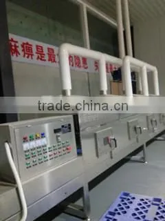 market prices for mushroom