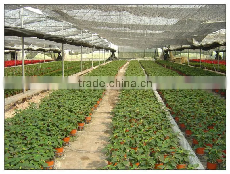 Winter Greenhouse With Film Coverage