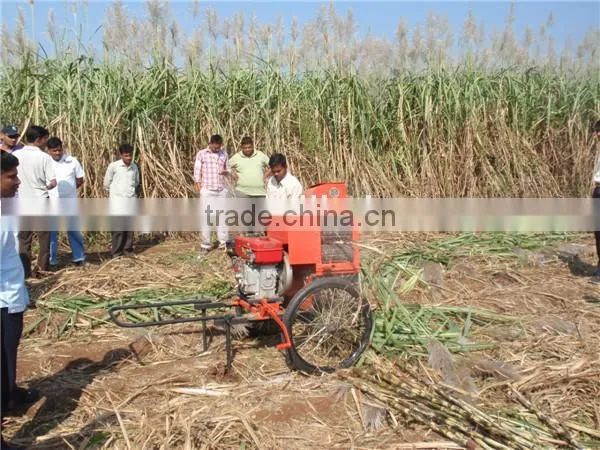 6BZ-5 sugarcane top removing machine/sugarcane top remover machine with top efficiency selling
