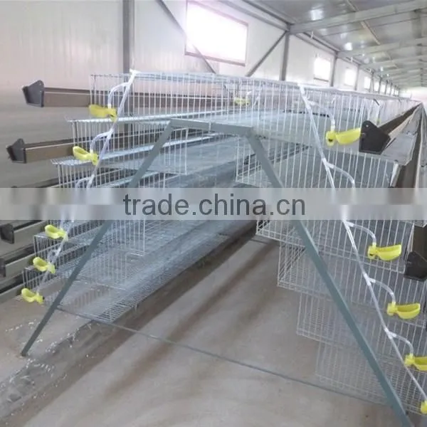 automatic quail layer cage systems with auto drinker and feeder