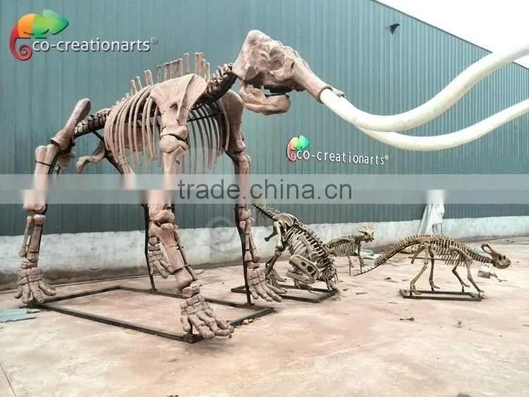 Fiberglass animal skeleton model of Mammoth