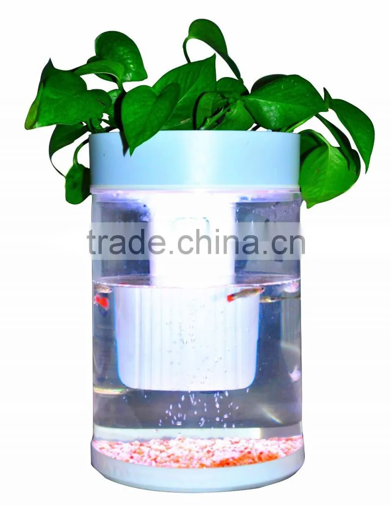Free sample fashionable whole set aquarium acrylic material fish tank with LED/Water pump