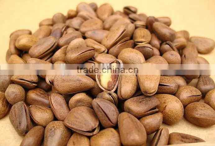 Pine nut hazelnut almond huller(whatsapp:13782789572)