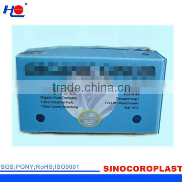 convenient to move and resistant dirt plastic polypropylene non-toxic box