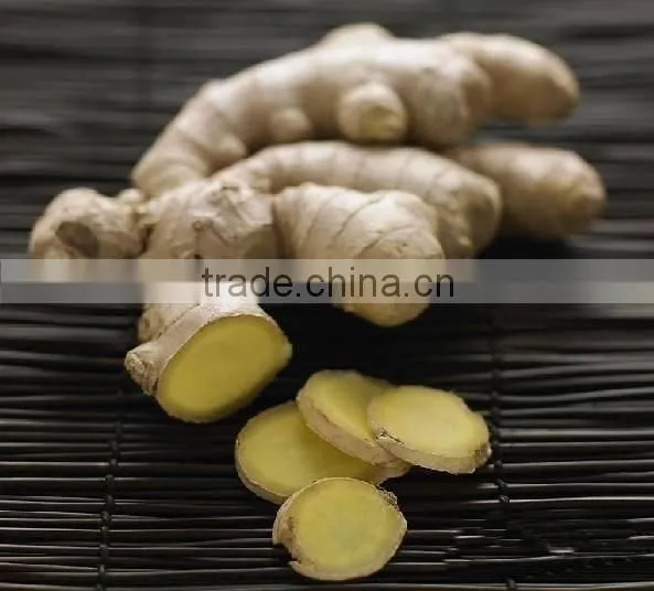 2015 New crop of fresh ginger , professional suppliers