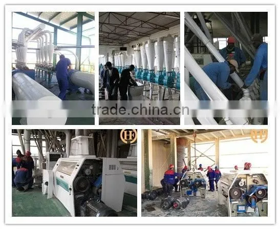 Small Scale Hot Sale 10T Corn Flour Milling Mill Machine