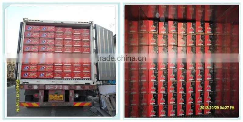 sell Fresh Apple fruit of high quality and good price