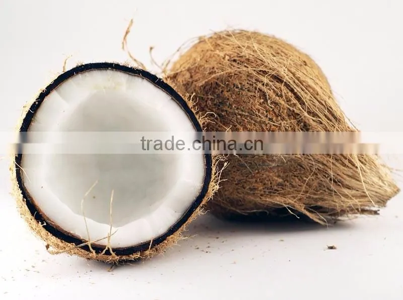 Semi Husked coconut for Confectioneries