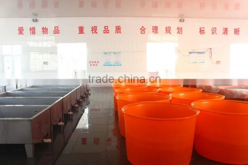 dried pear manufacture