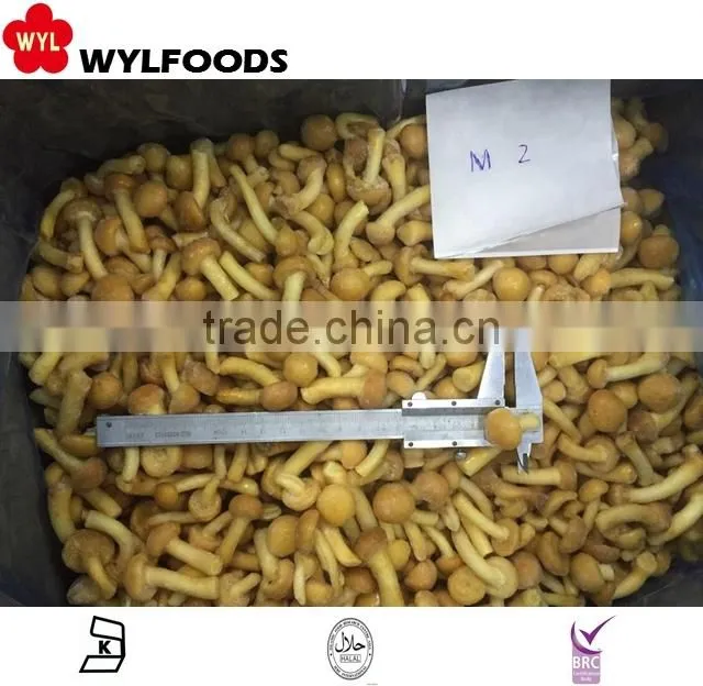 frozen shiitake mushroom quarter cuts slices 2015
