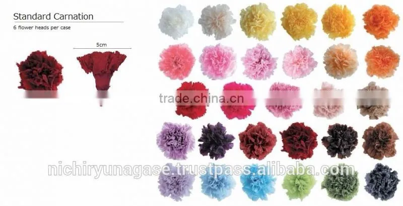 Pretty hydrangea preserved flowers with various species