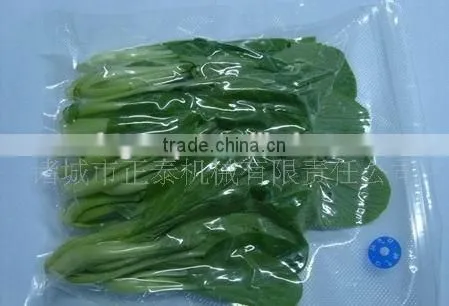 Dz-700/2s Vacuum Packing Machine