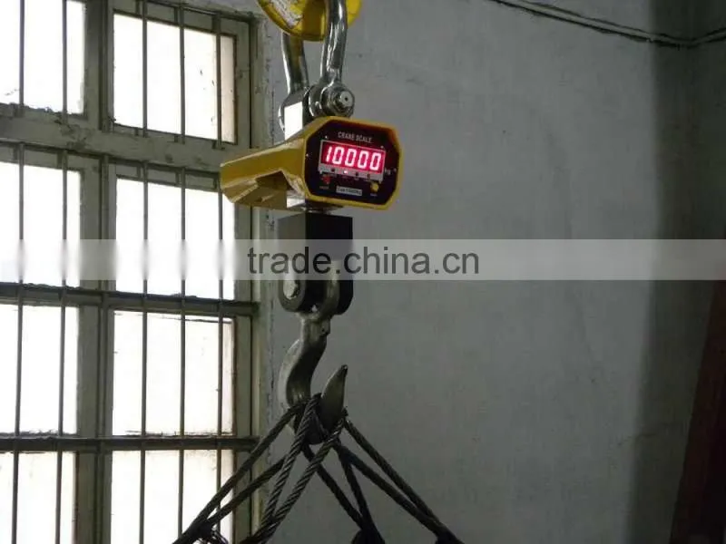 crane scale