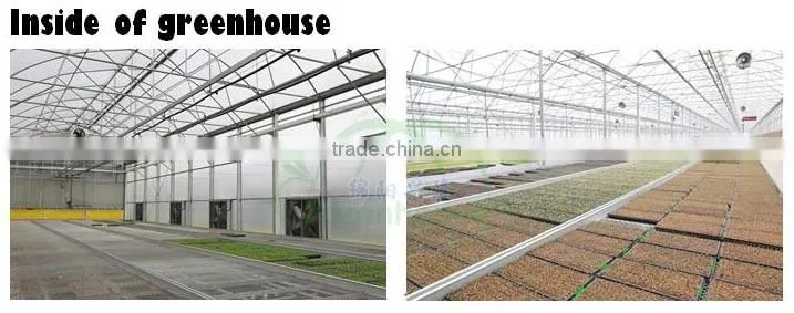 long life span Greenhouse polycarbonate sheet price
