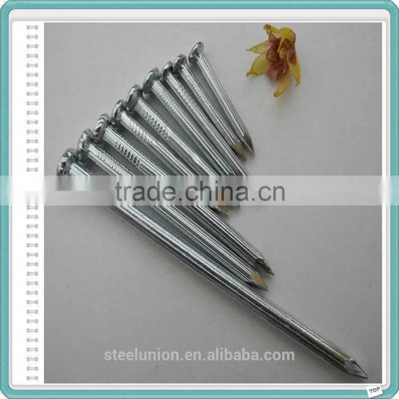Galvanized Hardened Concrete Steel Nails/Stainless Steel Concrete Nail