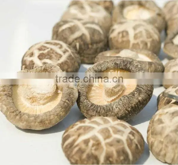 Dried White Flower Mushroom